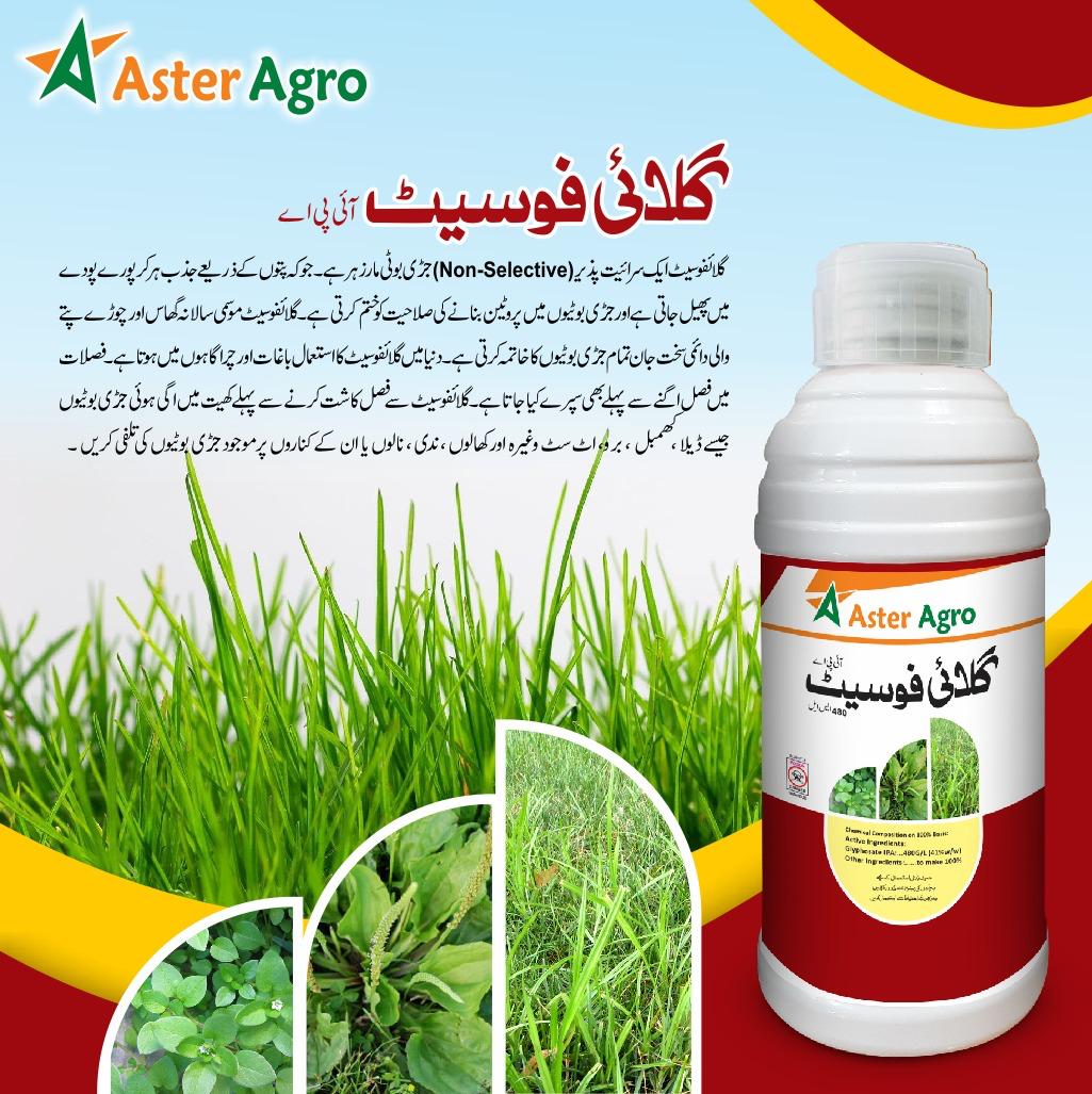 Fungicide Product